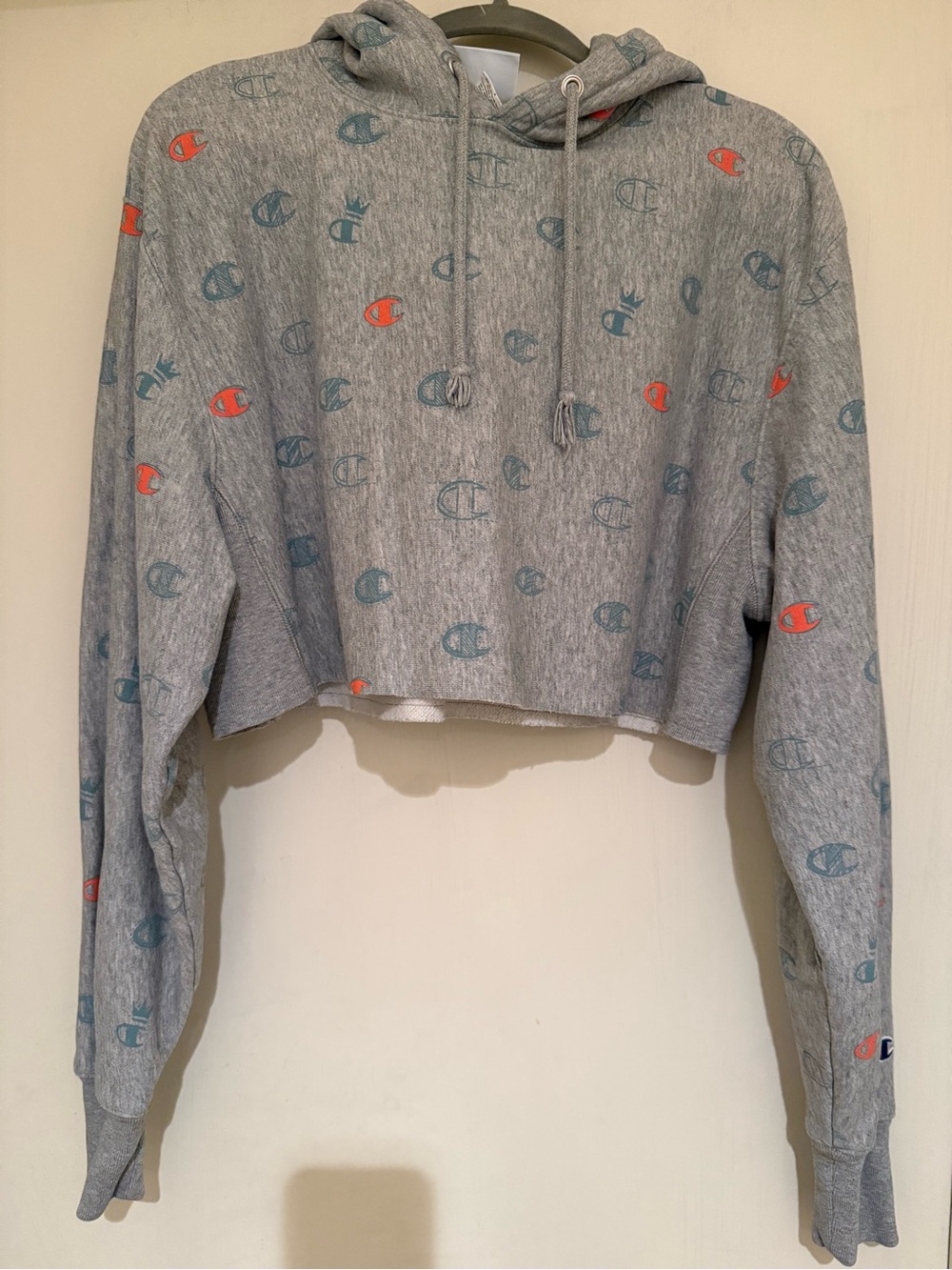 Champion Cropped Hoodie Sweatshirt in Heather Gray with Teal & Orange Logos